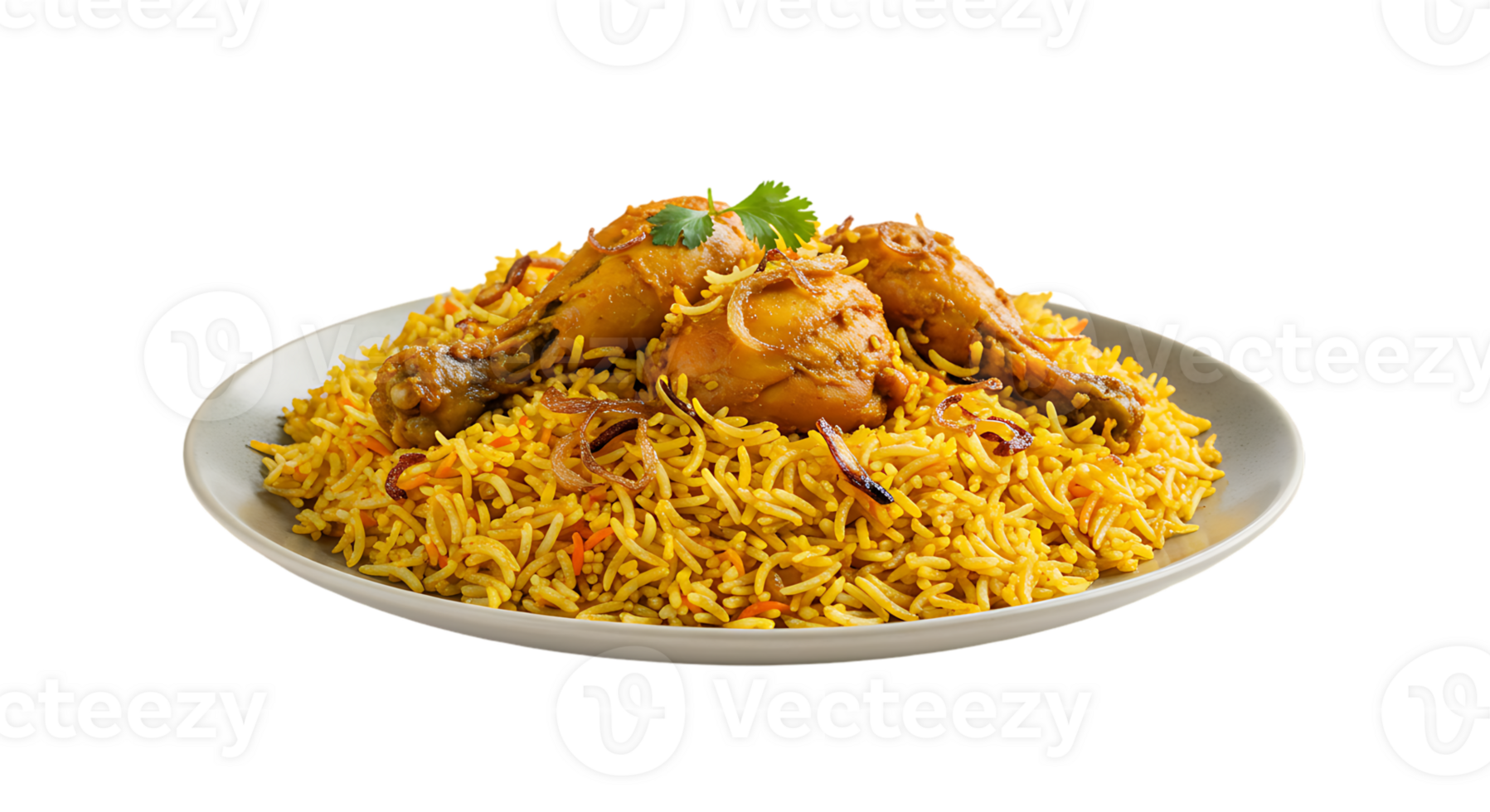 Chicken Biryani Rice with Side Garnish on Transparent Background png