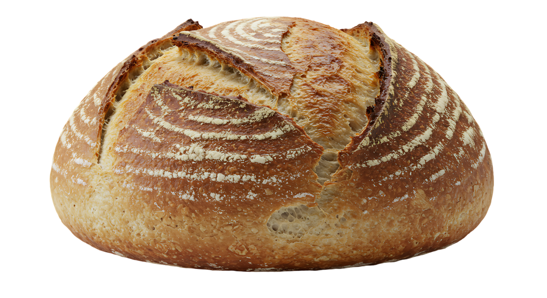 Fresh Artisan Bread Isolated on Background with Transparency png