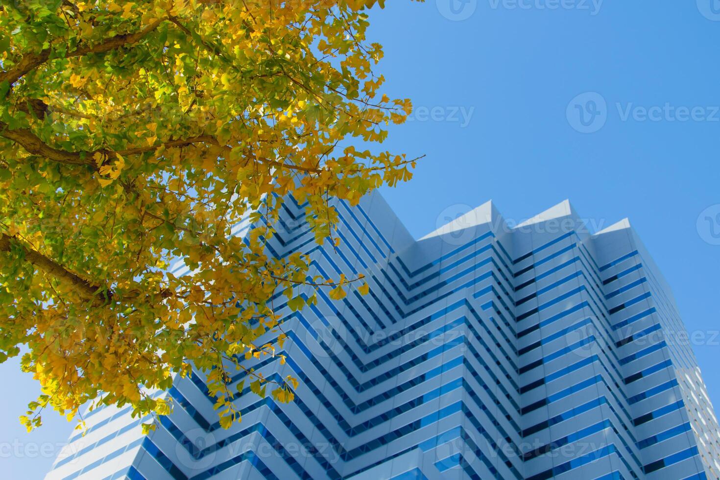 A tall building with a clock on it photo