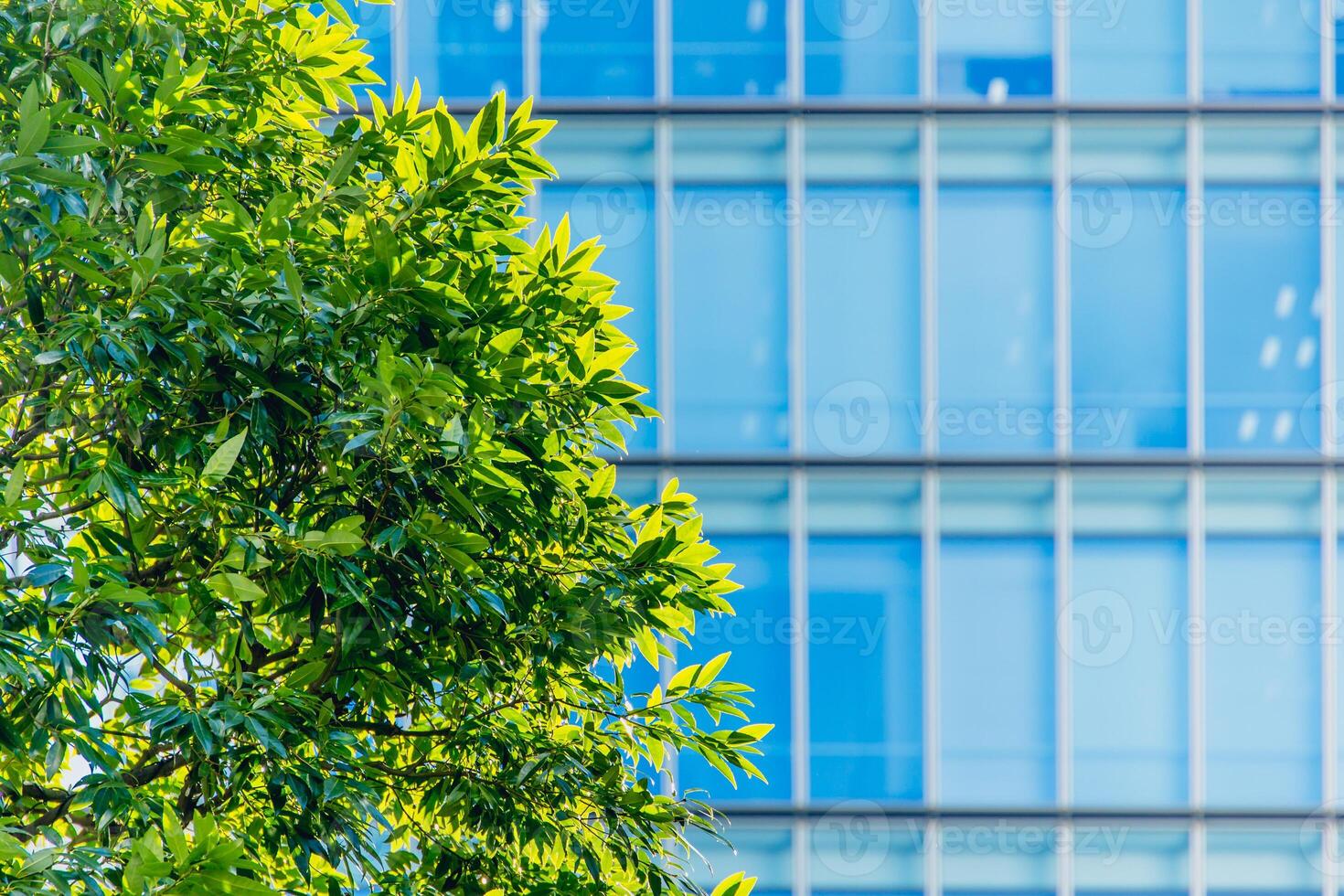 A clock is sitting on a tree in front of a building photo
