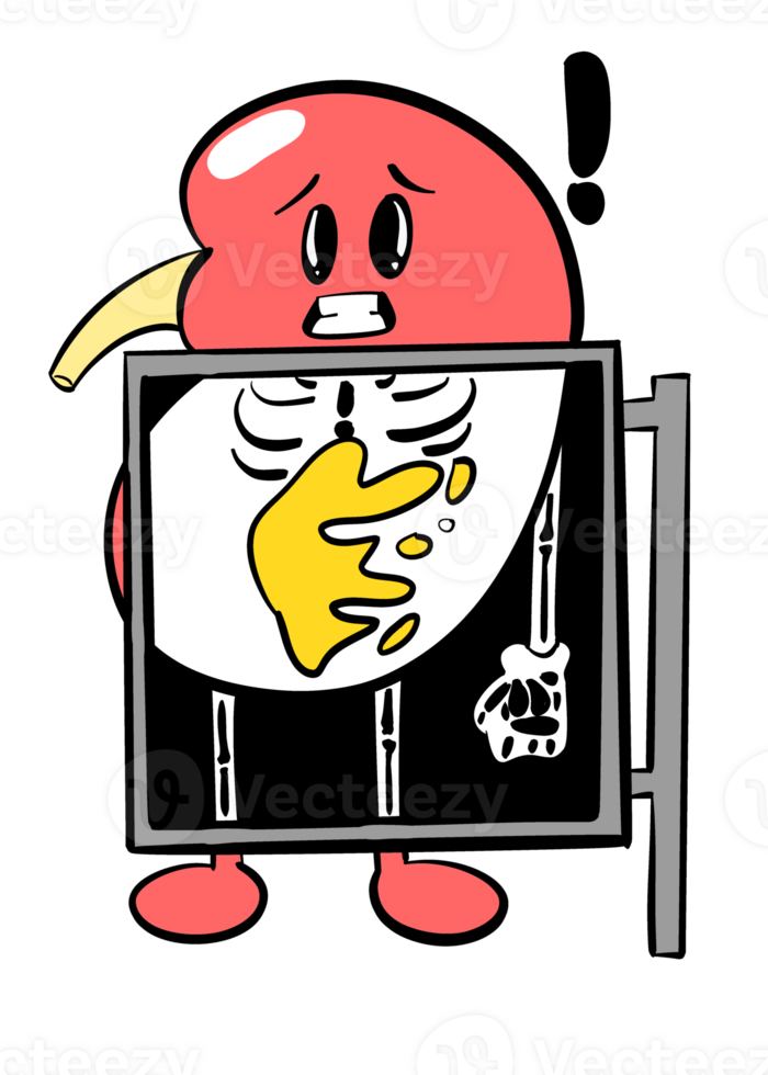 Cute Kidney sticker Kidney stone cartoon png