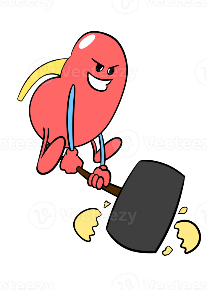 Kidney destroy kidney stone png