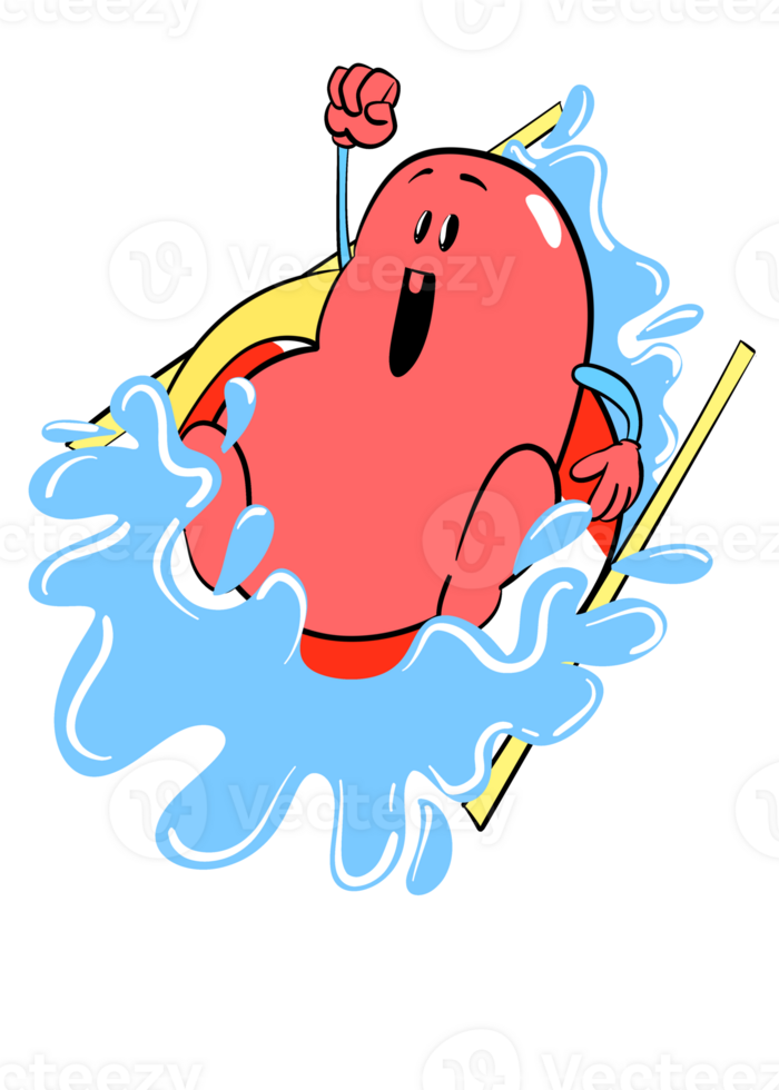 Cute kidney sticker riding water slide png
