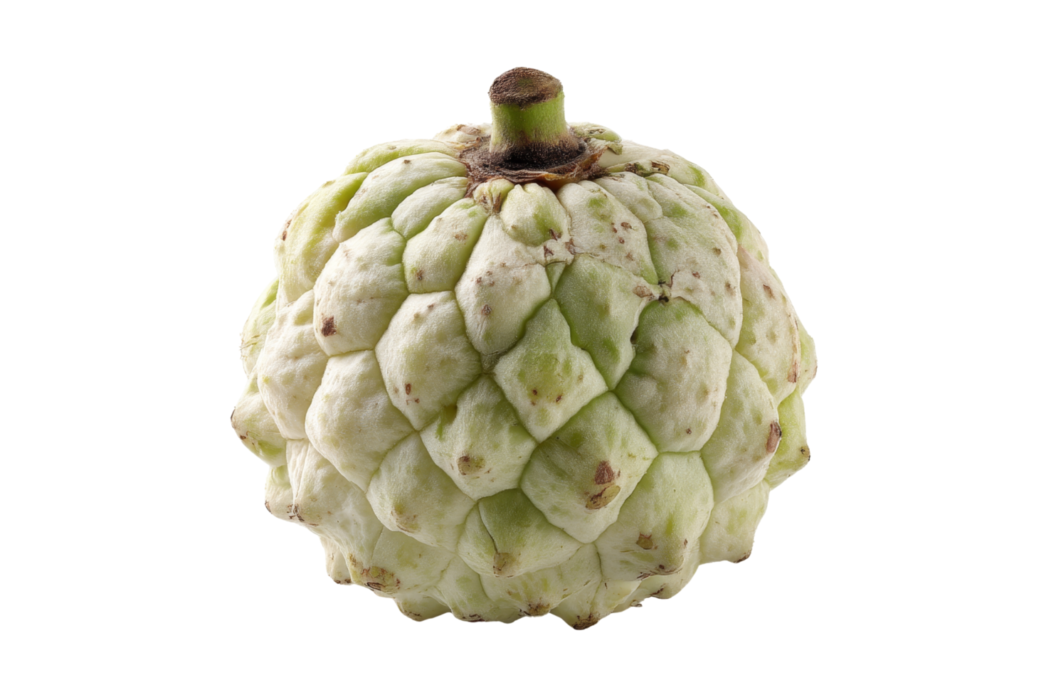 Harvesting cherimoya fruit garden nature close-up png