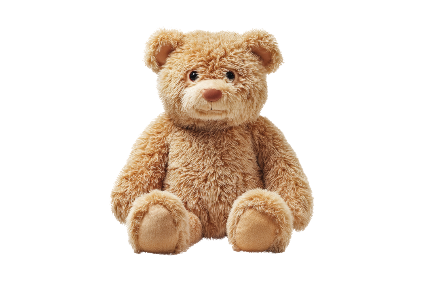 Cuddly teddy bear home plush toy cozy front view png