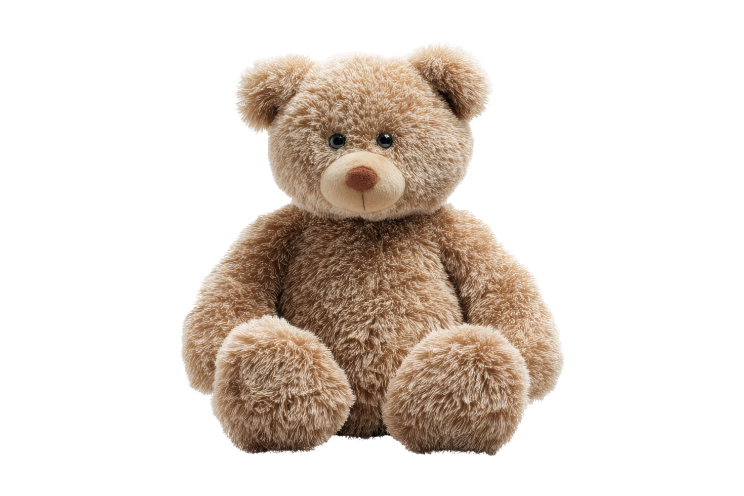 Cuddly teddy bear cozy indoor photography png