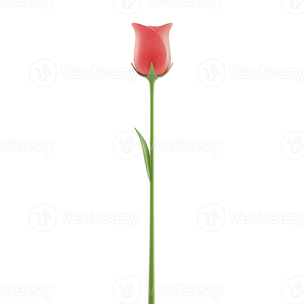 Single red rose with long green stem and single leaf, symbolizing love and elegance, isolated on transparency background png