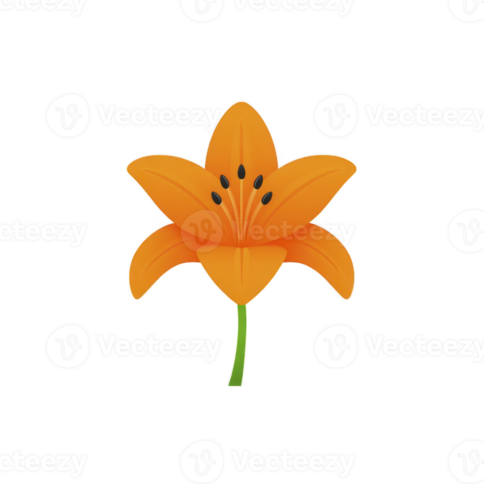 Orange lily flower with six petals and black stamens is depicted on transparency background, showcasing its vibrant color and simple elegance png