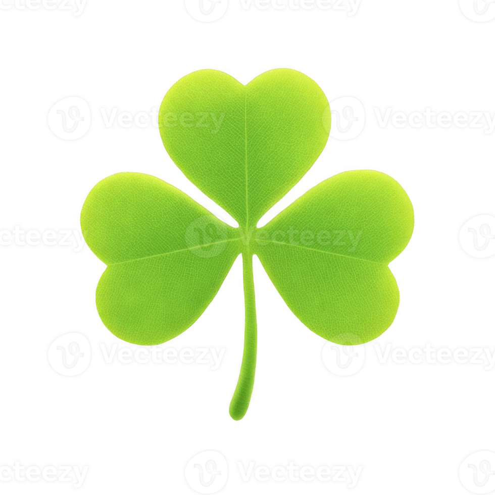 Vibrant green three leaf clover with heart shaped leaves symbolizes luck and nature. clover is isolated on transparency background, highlighting its simplicity and charm png