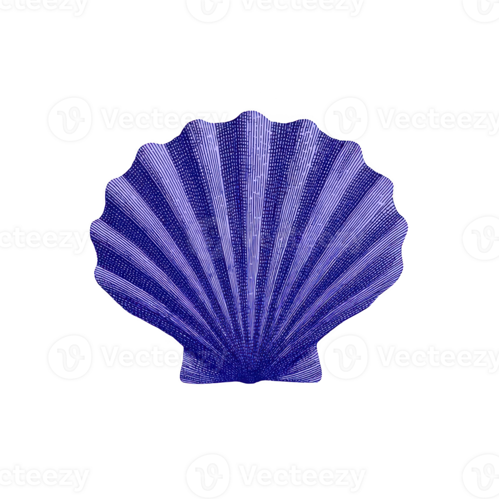 Vibrant blue seashell with intricate patterns and fan like shape, isolated on transparency background, showcasing its natural beauty and texture png