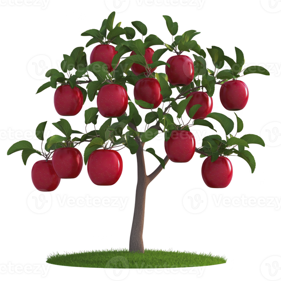 Small apple tree with lush green leaves and numerous ripe red apples growing on its branches, set against transparency background. vibrant colors create fresh and natural feel png