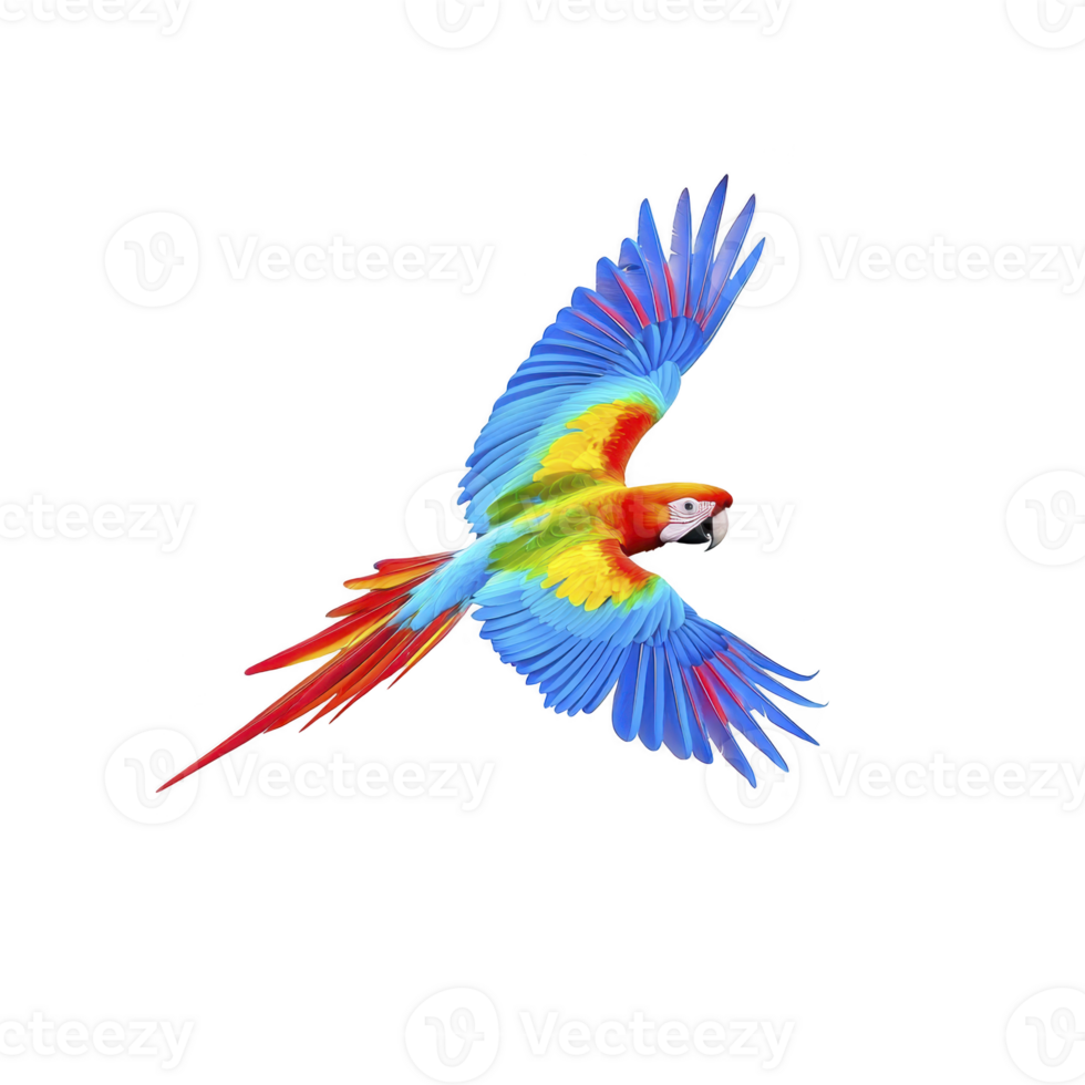 Vibrant macaw parrot with colorful feathers spreads its wings in flight against clear background, showcasing its vivid red, blue, and yellow plumage png