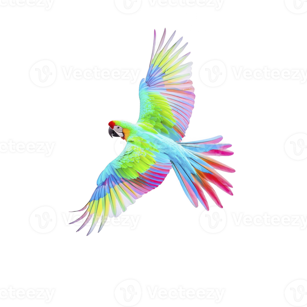 Vibrant parrot with multicolored feathers spreads its wings in flight against transparency background, showcasing its vivid plumage. image captures beauty and grace of bird in motion png