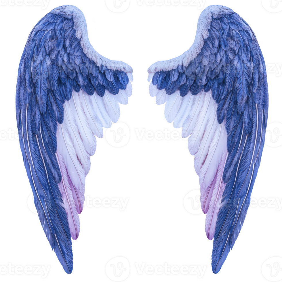 Elegant blue and purple angel wings with detailed feathers, symbolizing freedom and spirituality. wings are symmetrical and isolated on transparency background png