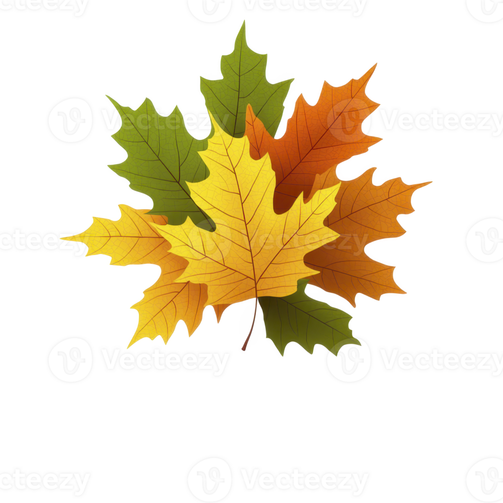 vibrant collection of autumn leaves shades of green, yellow, and orange, showcasing beauty of fall foliage. leaves are intricately detailed, highlighting their natural texture and color variations png