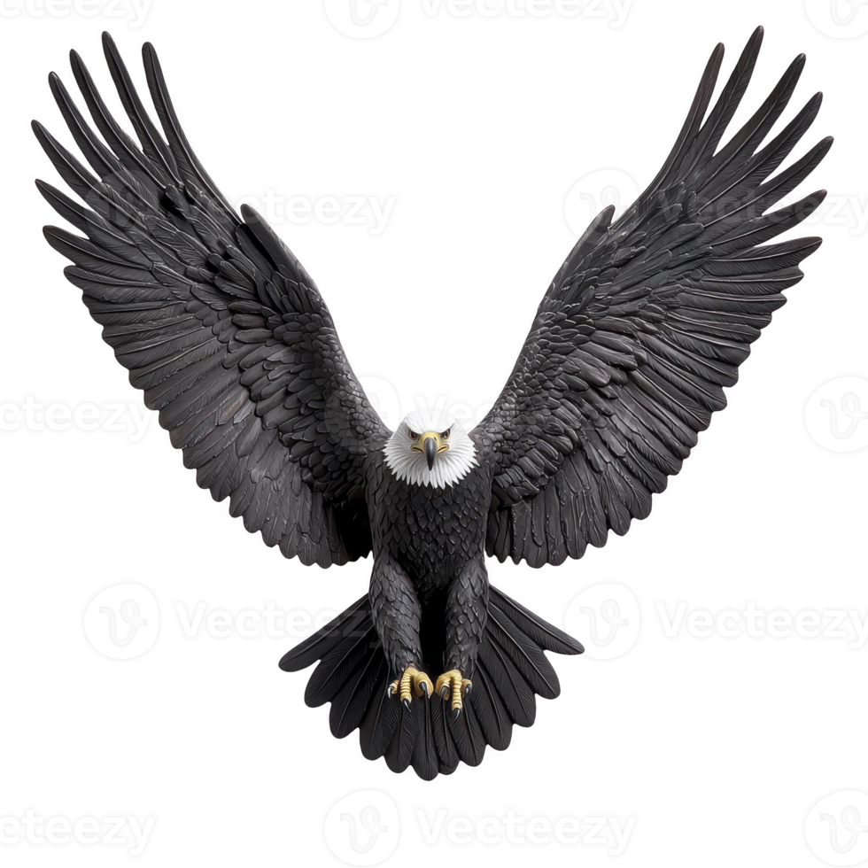 majestic bald eagle with outstretched wings soars gracefully, showcasing its powerful presence and sharp talons. detailed feathers and intense gaze capture essence of this iconic bird of prey png