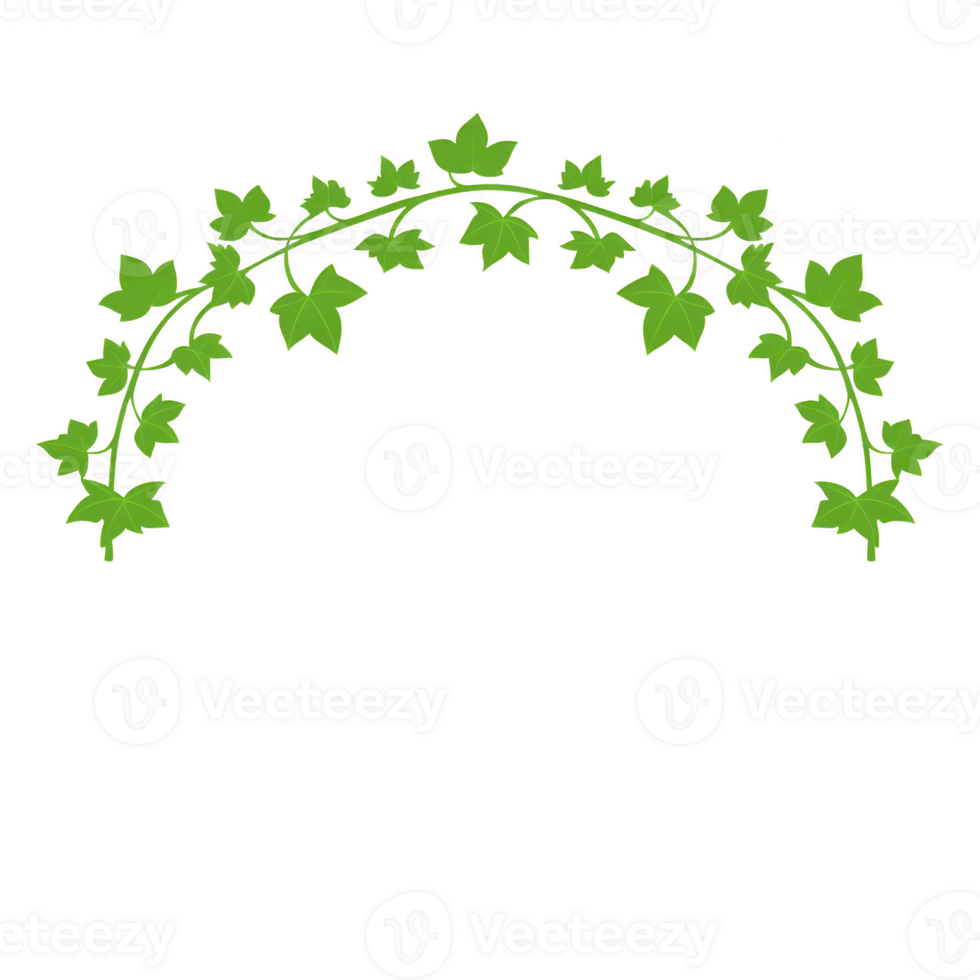 decorative arch of green ivy leaves forms natural, elegant design. lush foliage creates graceful curve, perfect for adding touch of nature to any setting png