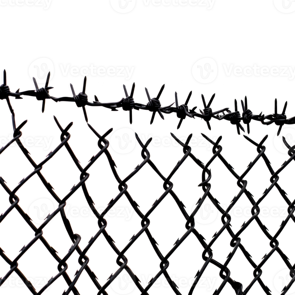 close up of barbed wire fence with chain link pattern, symbolizing security and restriction. sharp barbs and metal links create sense of confinement and protection png