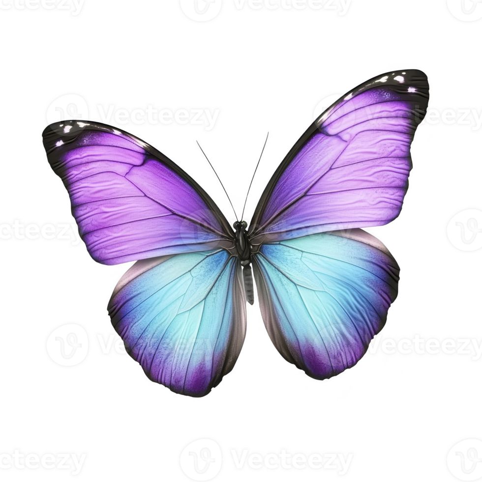 vibrant butterfly with purple and blue wings, showcasing intricate patterns and delicate textures, symbolizing transformation and beauty png