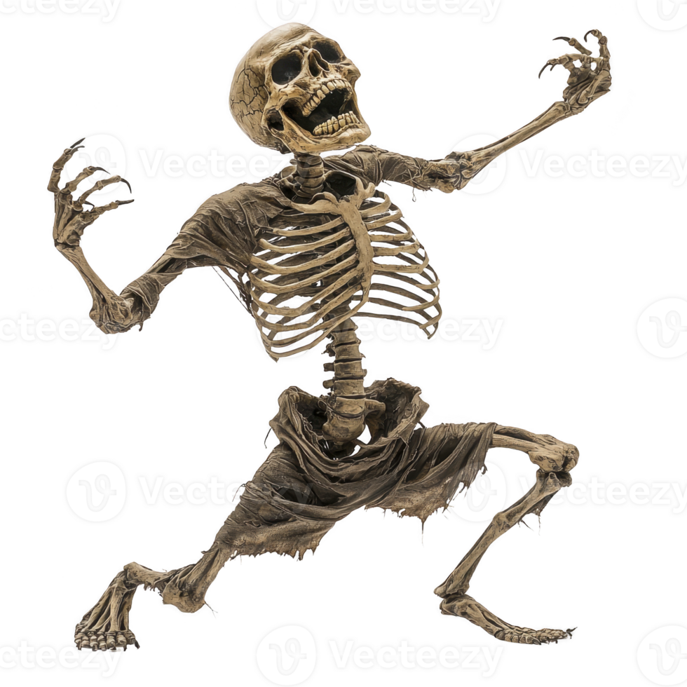 spooky skeleton with tattered clothing appears to be in dramatic pose, evoking sense of eerie excitement. skeletal figure is detailed, showcasing bones and haunting expression png