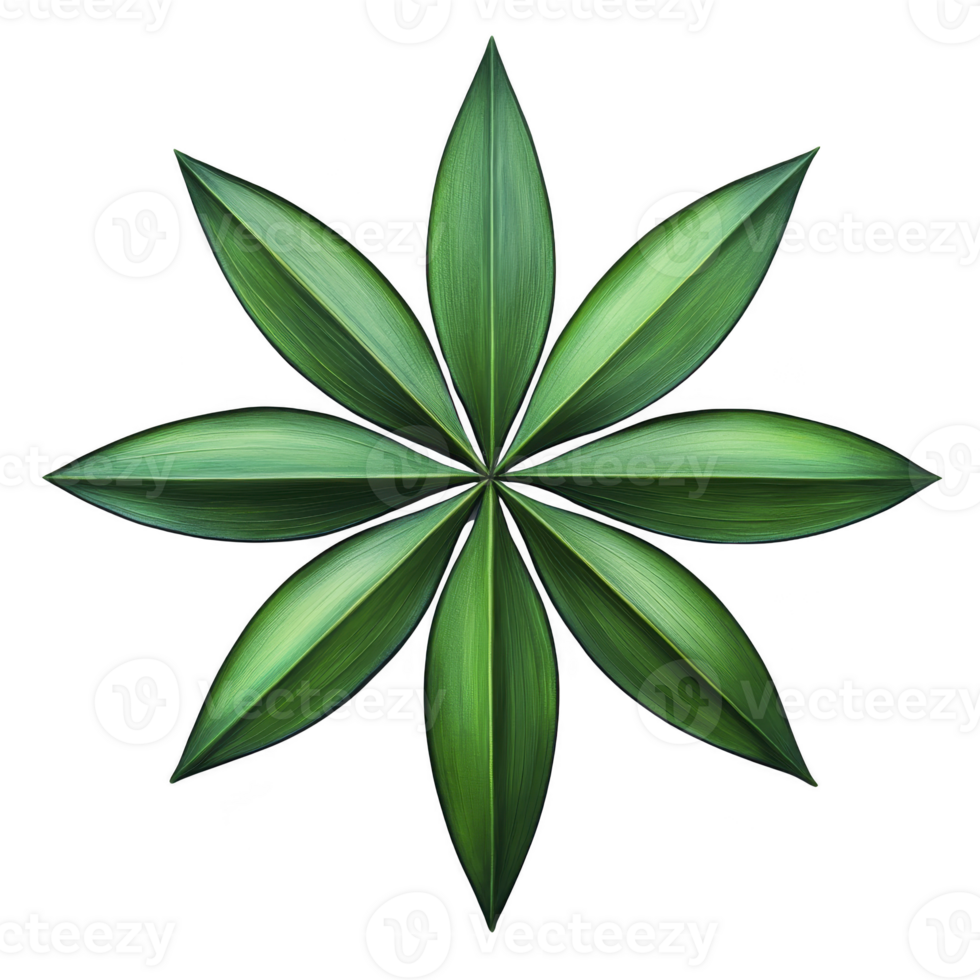 Symmetrical arrangement of green leaves forms star like pattern, showcasing nature geometric beauty. vibrant green hues and sharp leaf edges create striking visual effect png