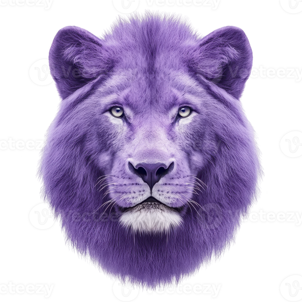 A digitally created image of lion face with vibrant purple fur and intense eyes, showcasing blend of realism and fantasy. striking color adds surreal and artistic touch png