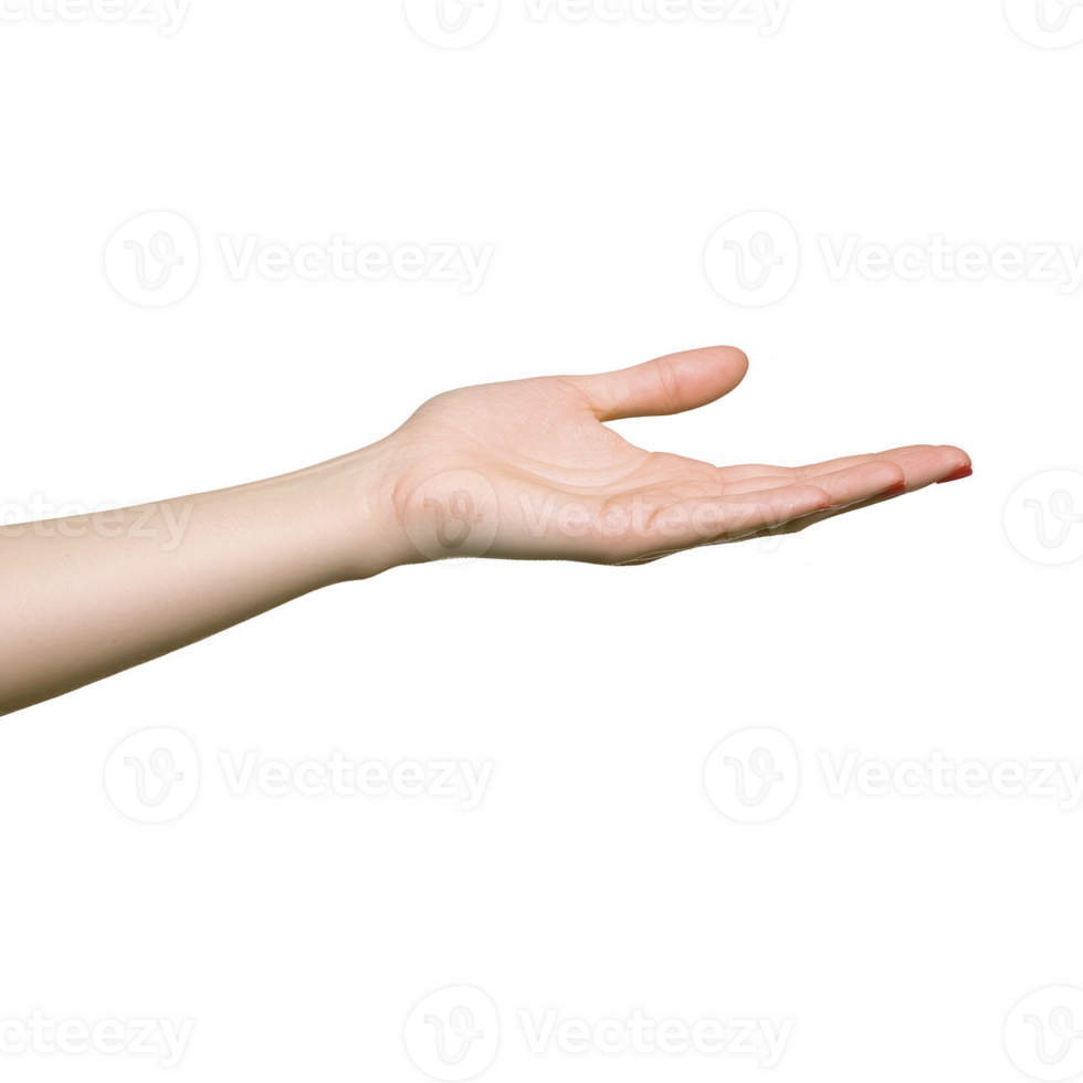 outstretched human hand with open palm against transparency background, suggesting gesture of offering or receiving. skin tone is light, and fingers are relaxed png