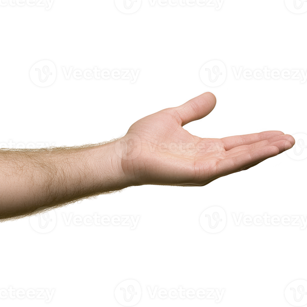 open human hand is extended with palm facing up, suggesting gesture of offering or receiving. background is transparent, highlighting hand details and skin texture png
