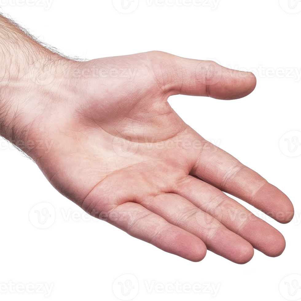 open human hand with visible palm and fingers extended, suggesting gesture of offering or greeting. skin tone is light, and background is isolated png