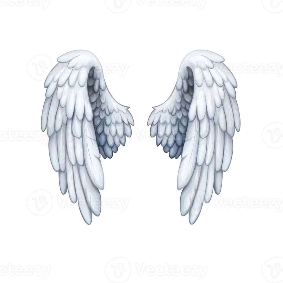 An Elegant white angel wings with detailed feathers, symbolizing purity and grace, isolated on transparent background. These wings evoke sense of freedom and spirituality png