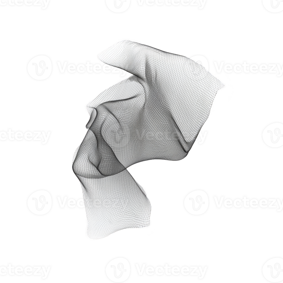 This features abstract 3D wireframe structure with fluid, organic shape, resembling flowing fabric or wave. monochrome design creates sense of movement and depth png
