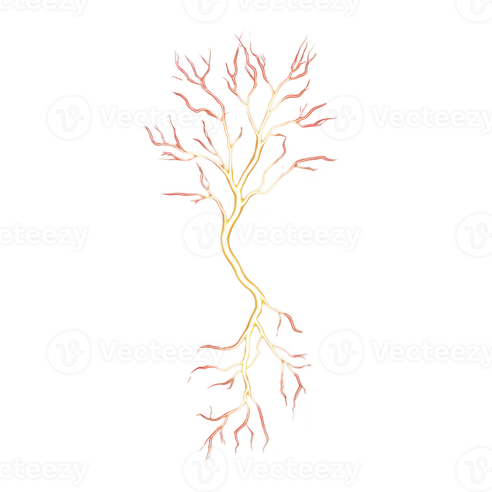 vibrant, glowing tree like structure with branching patterns resembling lightning or neural networks, set against transparency background, creating striking contrast png