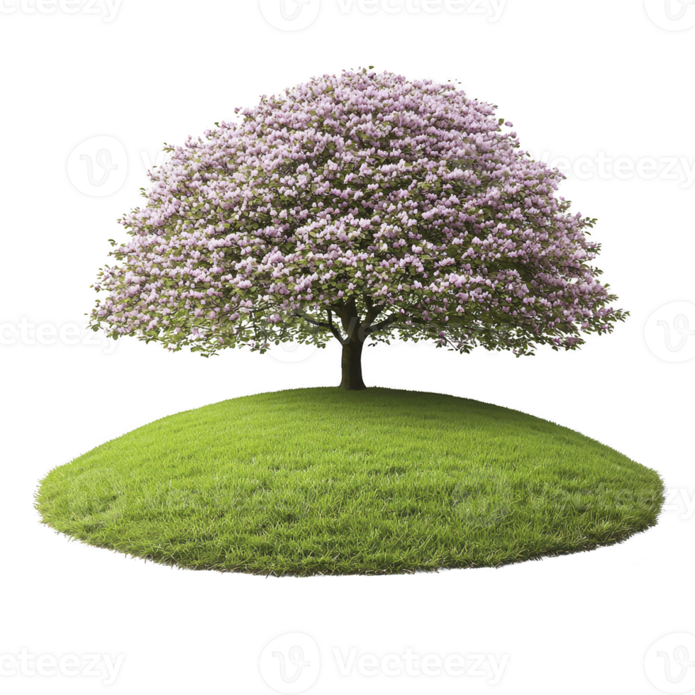 solitary tree with pink blossoms stands on lush green hill, creating serene and picturesque scene. vibrant colors and peaceful setting evoke sense of tranquility and natural beauty png