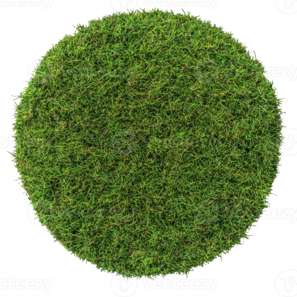 circular patch of lush green grass creates vibrant and natural texture, perfect for backgrounds or design elements. dense grass is evenly distributed, forming perfect circle png