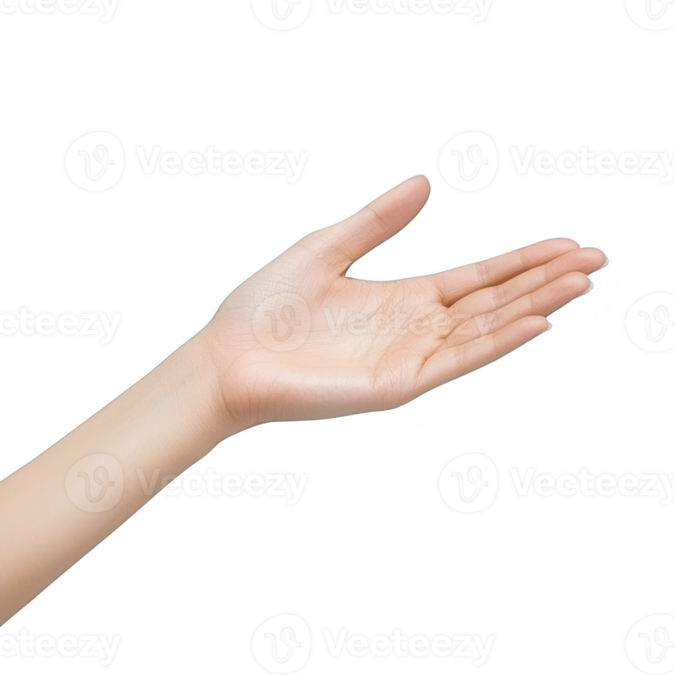 open hand with gentle gesture, palm facing up, isolated on transparency background, symbolizing offering or receiving. skin tone is light, and fingers are relaxed png