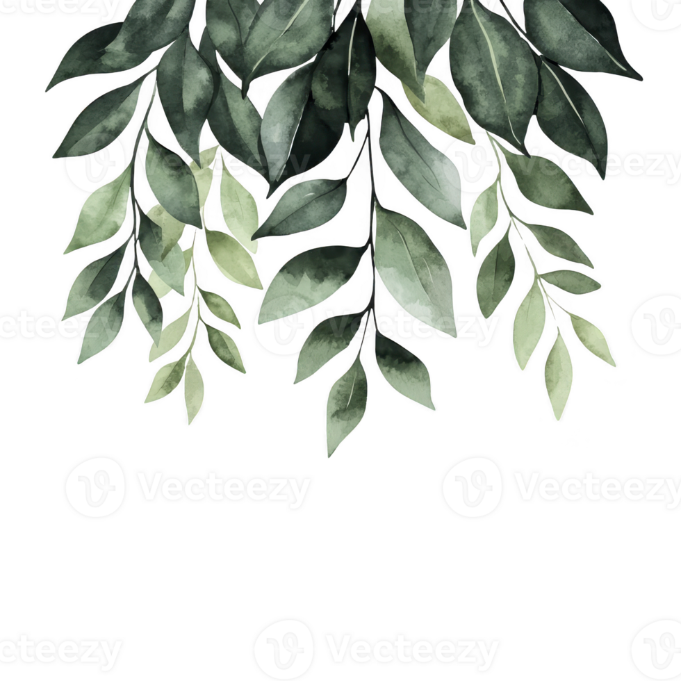 Watercolor illustration of lush green leaves cascading down, creating serene and natural atmosphere. leaves vary in shades of green, adding depth and texture png