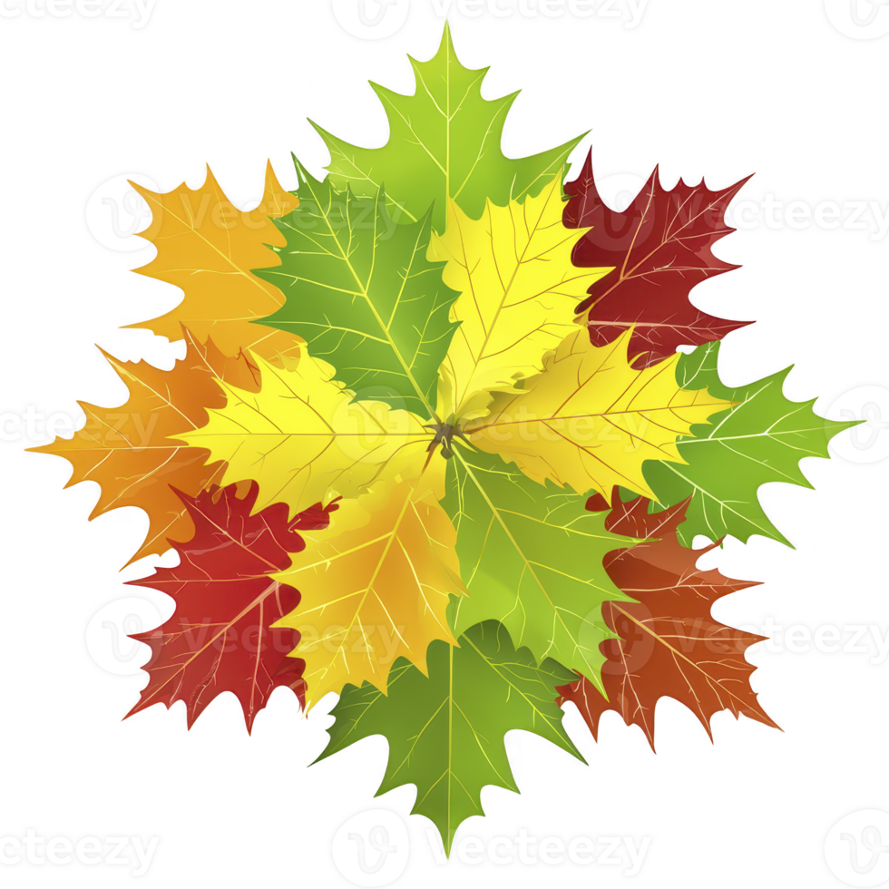 vibrant arrangement of colorful autumn leaves in shades of green, yellow, orange, and red, creating festive and seasonal display png