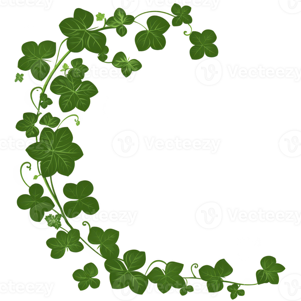 crescent shaped arrangement of lush green ivy leaves creates natural and elegant design. leaves are detailed with visible veins, adding texture and depth to composition png