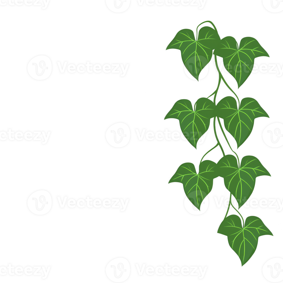 lush green vine with heart shaped leaves climbs vertically, creating natural and vibrant design element. leaves are detailed with light green veins, adding texture and depth to illustration png