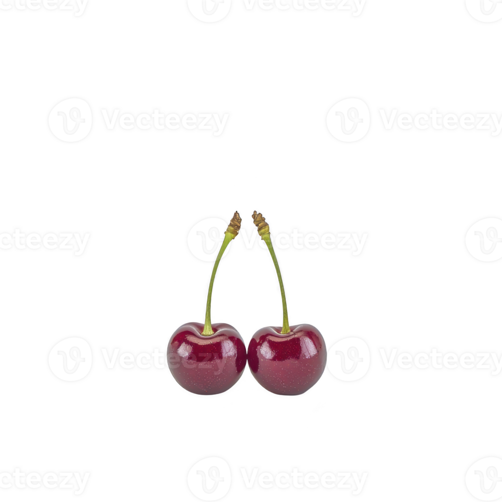Two ripe cherries with stems are placed against plain transparency background, highlighting their vibrant red color and glossy texture. simplicity of image emphasizes freshness and natural appeal png