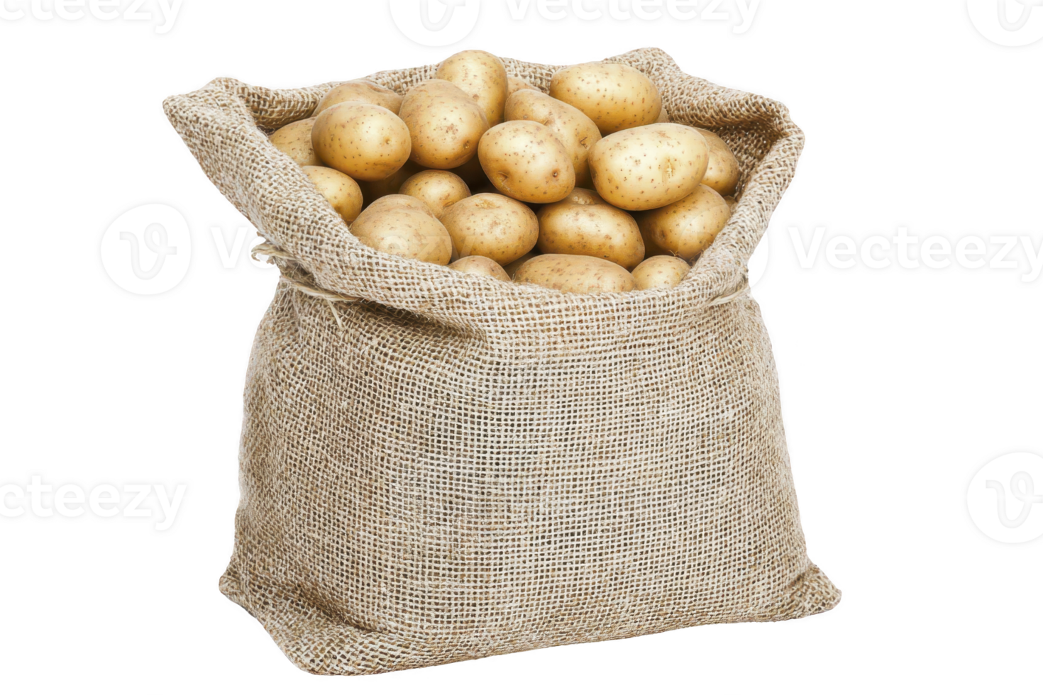 burlap sack filled with fresh potatoes, showcasing their earthy texture and natural color, perfect for cooking or farming. rustic bag adds traditional touch png