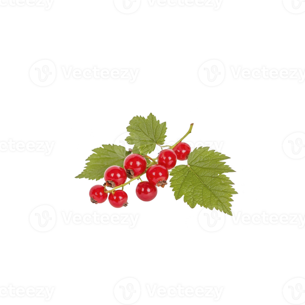 cluster of vibrant red currants with lush green leaves, showcasing their glossy texture and fresh appearance. berries are small, round, and arranged in natural, appealing manner png