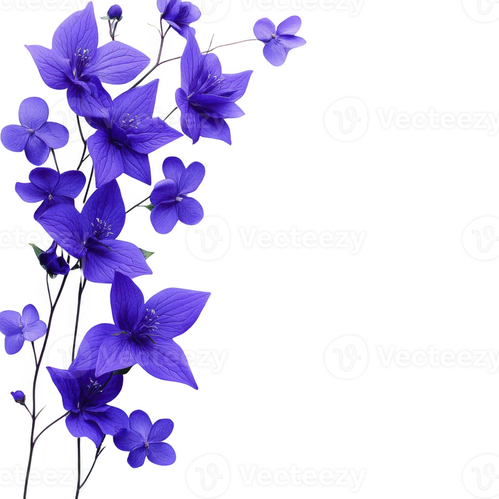 vibrant arrangement of deep blue flowers with delicate petals and green stems, creating striking contrast against transparency background. composition exudes elegance and tranquility png