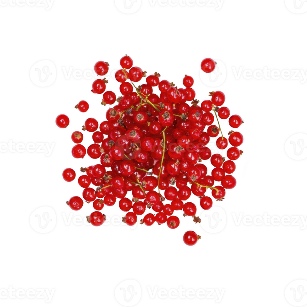 cluster of vibrant red currants is displayed against transparency background, showcasing their glossy texture and natural beauty. berries are small, round, and densely packed, creating visually png