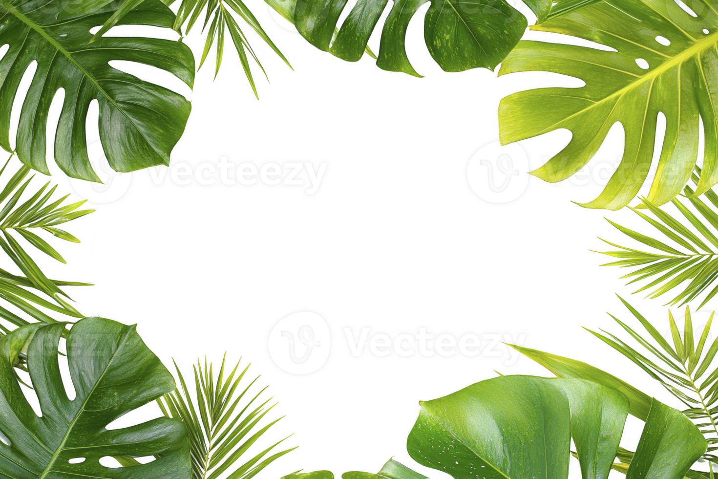 vibrant arrangement of tropical leaves forms lush green border, creating natural frame with empty center space. leaves display various shades and textures, evoking fresh and exotic atmosphere png