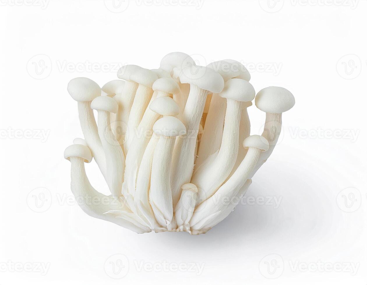 Fresh White Shimeji Mushrooms Cluster Close Up Studio Shot on White Background Ideal for Culinary and Health Food photo