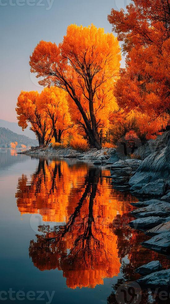 Autumn trees with vibrant orange leaves reflecting on calm lake water at sunrise in a serene natural setting photo