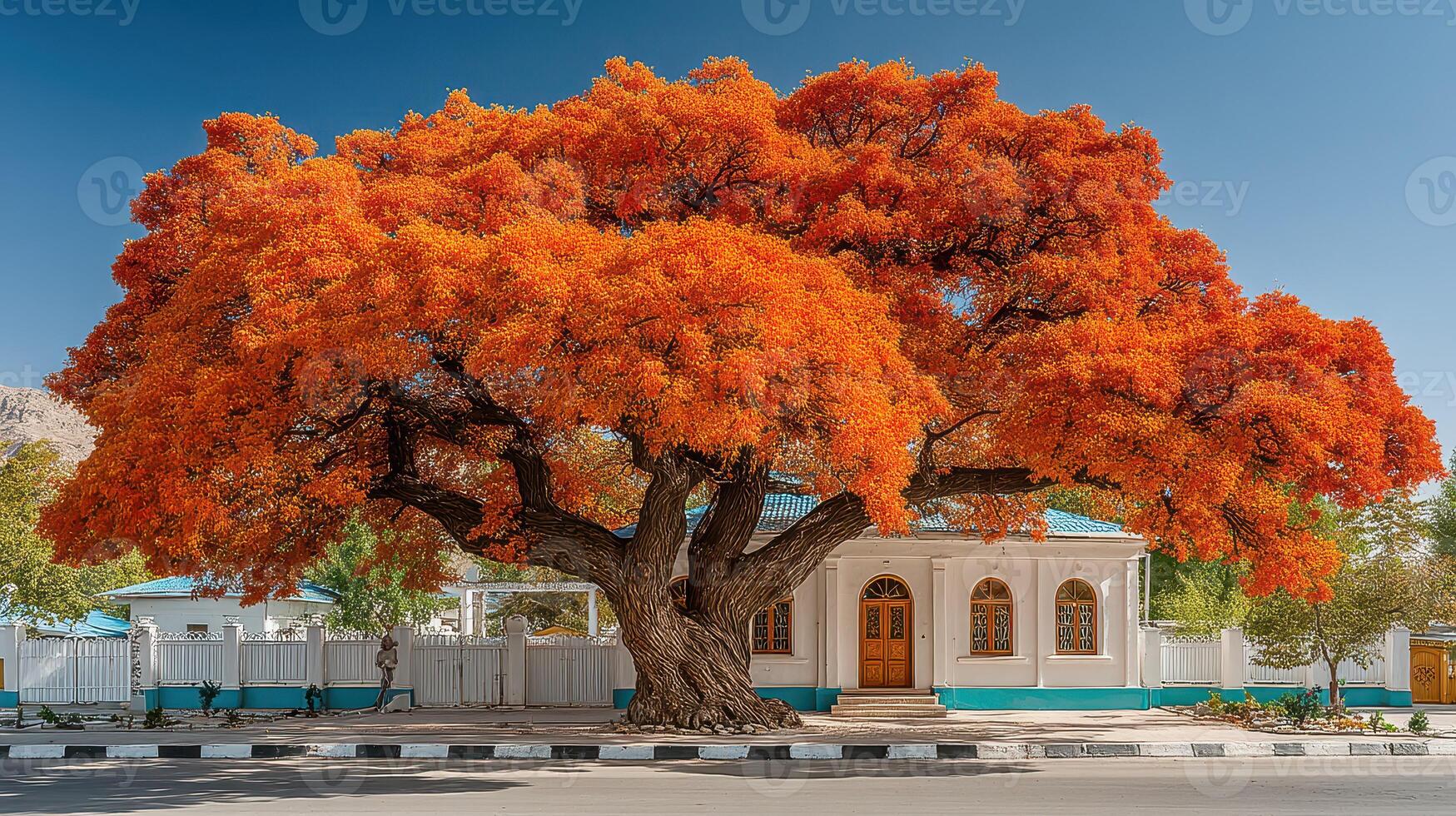 Vibrant orange tree stands majestically near bright blue house in a sunny location photo
