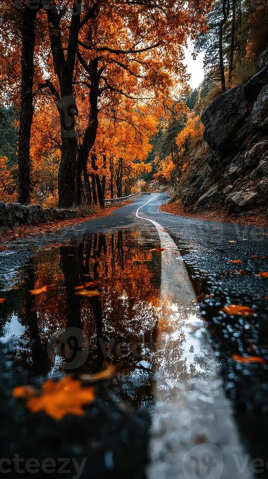 Autumn road lined with vibrant orange trees and a reflecting puddle during a tranquil sunset photo