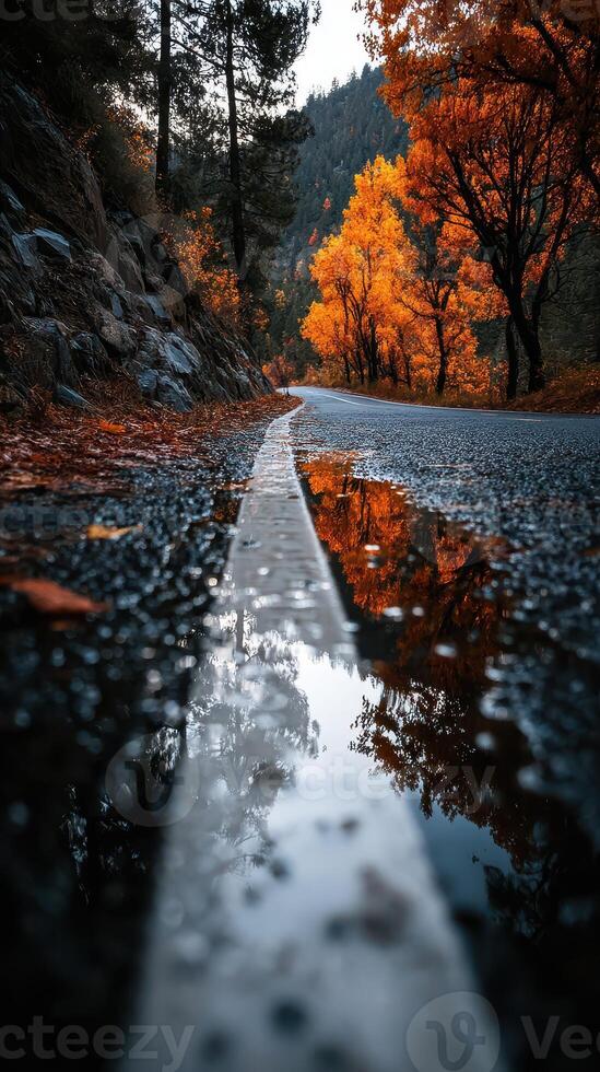 Rain-soaked road reflects vibrant autumn trees in a scenic landscape photo